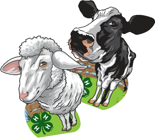 4-h in-stock patches